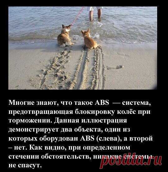 Начнем неделю с улыбки... Ха-хатунчики