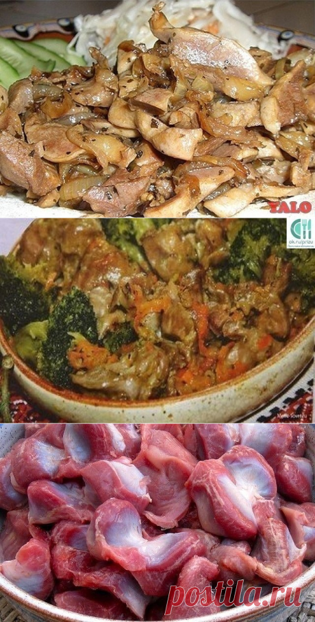 7 рецептов приготовления вкуснейших куриных желудков. Очень дешево и очень вкусно!!!