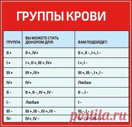 30 шпаргалок о самых важных вещах на свете / Всё самое лучшее из интернета