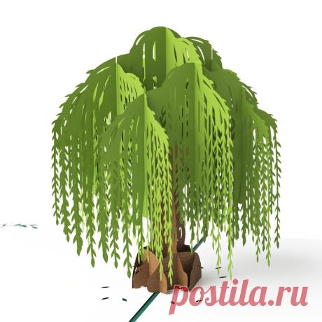 3D Willow Tree Pop Up Card – Lovepop