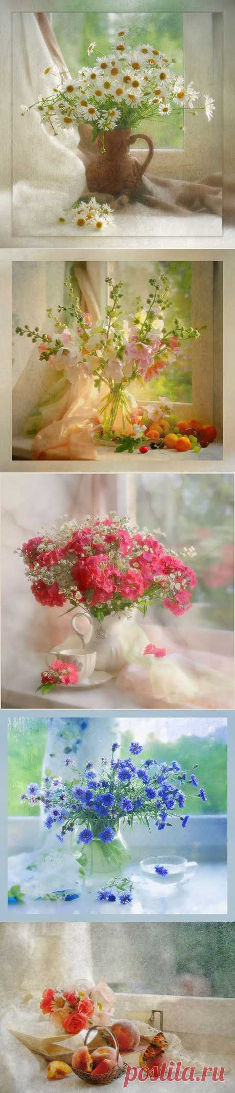 Изысканные фотонатюрморты .