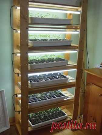 Bracing at the top and bottom only. Features a lot of brackets, because some trays might need a 