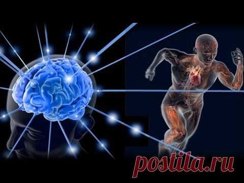 Скрытые резервы организма  Сверхспособности