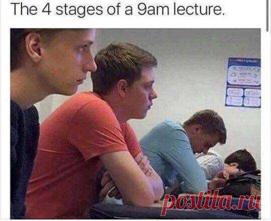 The four stages of nine am lecture !

#girls #boys #funny #aww #students #gagbee