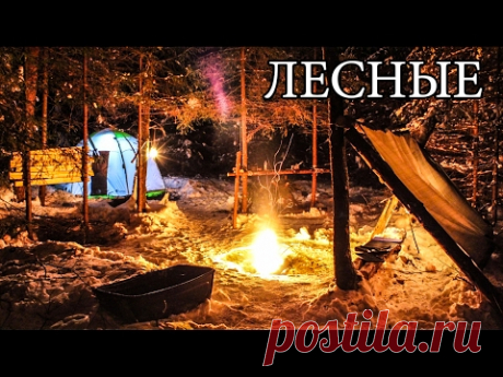 ЖИЗНЬ В ЛЕСУ - ПОШЕХОНКА ГОТОВИТ - МЕГА СКОВОРОДА - БУШКРАФТ И ОДЕЖДА | ХРОНИКИ ЗИМНЕГО ЛЕСА