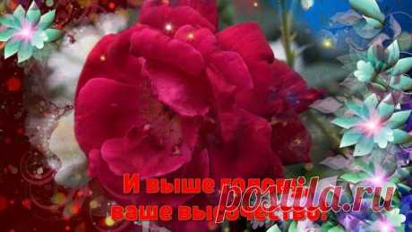 Ты - Женщина – умница! Солнышко ясное!