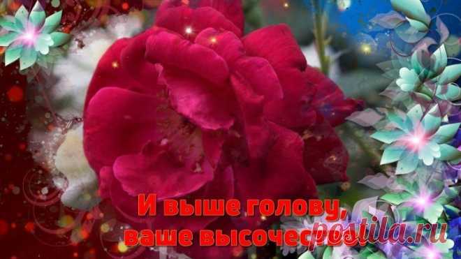 Ты - Женщина – умница! Солнышко ясное!