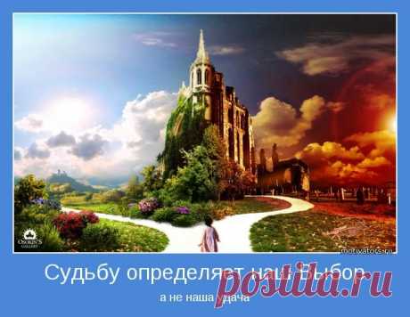 ВЫБОР ЦЕЛИ. ВИКТОР РЕБИКОВ.