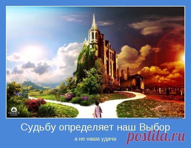 ВЫБОР ЦЕЛИ. ВИКТОР РЕБИКОВ.