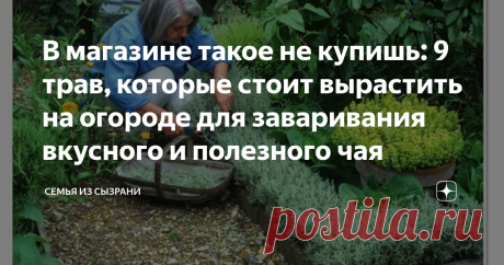 В магазине такое не купишь: 9 трав, которые стоит вырастить на огороде для заваривания вкусного и полезного чая Летом любимым напитком становится чай. Его пьют тёплым, его пьют холодным. А ещё чай можно купить в магазине или посадить на своём огороде вкусную ароматную траву, которой и заваривать чай.
Первым делом стоит посмотреть на такую траву как – вербена лимонная. Её также называют алоизия трёхлистная.
Это растение родом из Чили и Аргентины. Вкус как у настоящего лимон...