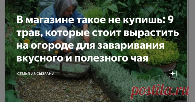 В магазине такое не купишь: 9 трав, которые стоит вырастить на огороде для заваривания вкусного и полезного чая Летом любимым напитком становится чай. Его пьют тёплым, его пьют холодным. А ещё чай можно купить в магазине или посадить на своём огороде вкусную ароматную траву, которой и заваривать чай.
Первым делом стоит посмотреть на такую траву как – вербена лимонная. Её также называют алоизия трёхлистная.
Это растение родом из Чили и Аргентины. Вкус как у настоящего лимон...