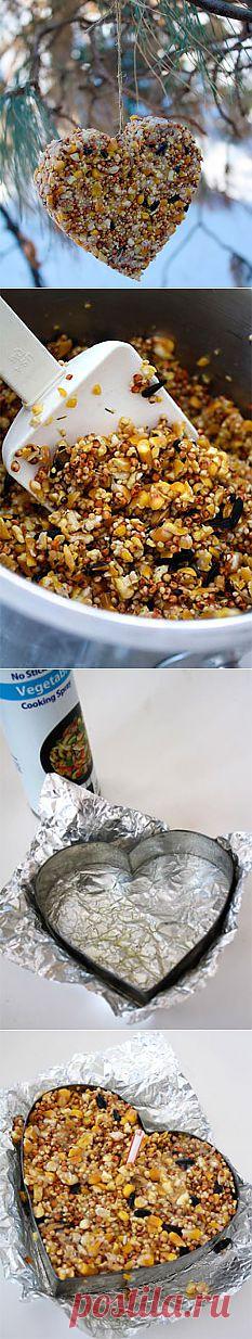 Большая сердечная любовь к птичкам.