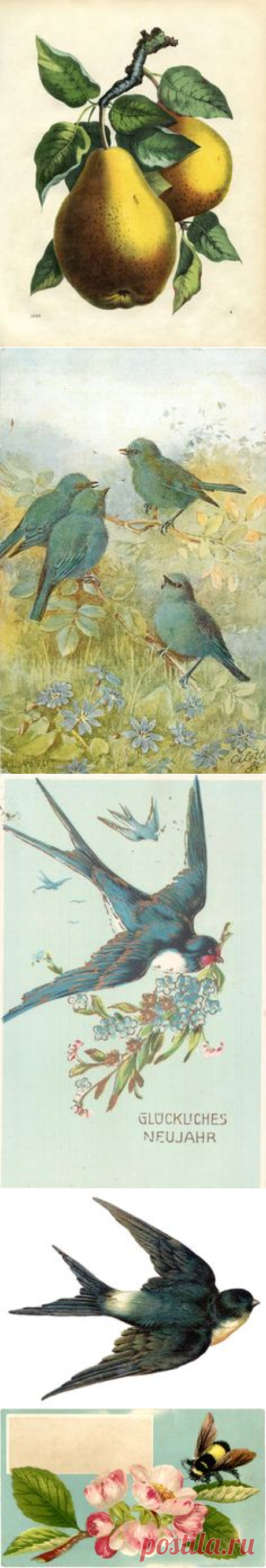 Pinterest • Всемирный каталог идей