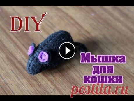 Как сделать мышку из фетра / Игрушка для кошки своими руками / Toy for a сat with own hands / DIY Мастер класс: Как своими руками сшить мышку из фетра. Шьем игрушку для кошки. Спасибо за ПОДПИСКУ! - Thank`s for subscribe! Смотрите мастер-класс, ста...
