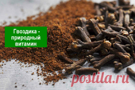 Гвоздика — природный витаминный комплекс — Здоровое Долголетие