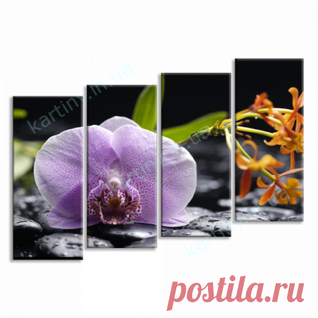 Модульная картина Орхидея и черные камни купить в Киеве, цена в Украине | Kartiny