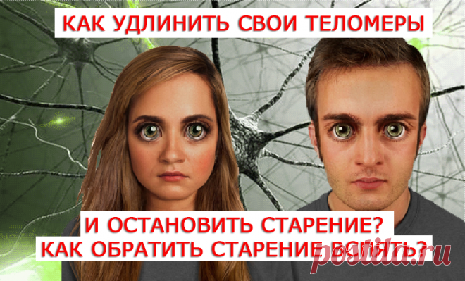 Старение всегда считалось физиологическим процессом, не требующим вмешательств. Однако человек пытается отодвинуть этот рубеж своей жизни любой ценой. Прогрессивные ученые уверены, что старение — это болезнь, и ее можно лечить. Причем лечить можно начинать с любого возраста. Единственным неоспоримым установленным фактом в геронтологии (так называется наука о старении) является зависимость процессов старения любого биологического объекта, а не только человека, от состояния теломер ..