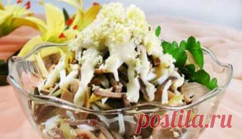 Говяжий язык – правильное приготовление и рецепты вкусных блюд