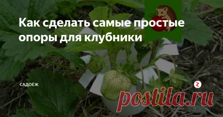 Как сделать самые простые опоры для клубники Быстро, просто и бесплатно. А главное - такие опоры не дают ягодкам лежать на земле.