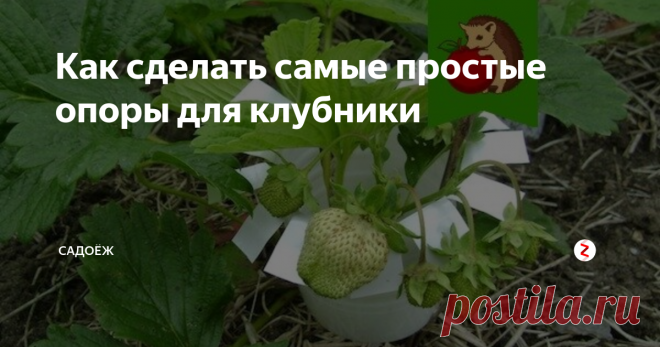 Как сделать самые простые опоры для клубники Быстро, просто и бесплатно. А главное - такие опоры не дают ягодкам лежать на земле.