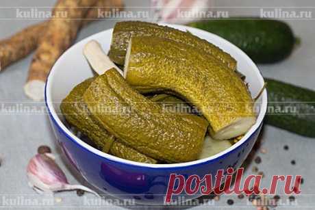 Огурцы малосольные с хреном – рецепт приготовления с фото от Kulina.Ru