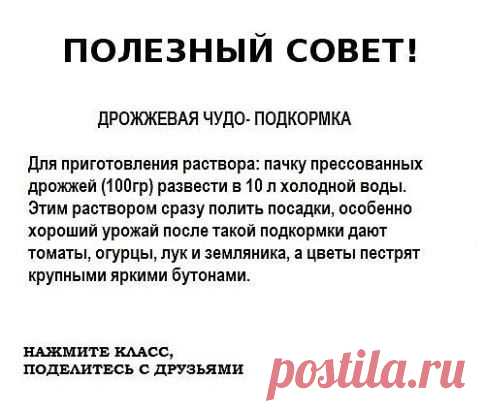 ● Чтобы не потерять эту информацию, жмите "Класс!" и "Поделиться"