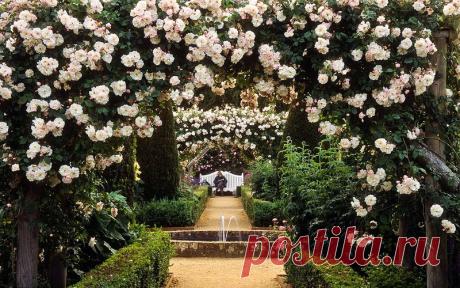 - Сады и парки Англии /Parks and Gardens of Englan | Записи в рубрике - Сады и парки Англии /Parks and Gardens of Englan | Дневник teanika