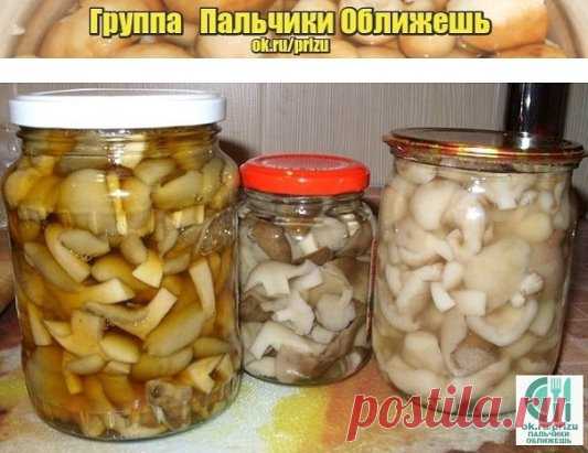 Маринованные грибочки ! Отличный рецепт !
Скажу честно этим рецептом пользуюсь впервые, его мне дала моя сестра. Но её грибочки сделанные по этому рецепту я пробовала ,очень вкусные!!!
Маринад: 
1 литр воды, 
8 ст.л. уксуса 9 %, 
1,5-2 ст.л.(с верхом) сахара,
1 ст. л. соли(с верхом), 
4 горошины душистого перца, 
2 лавровых листа,
4 горошины горького перца,
4 гвоздички(обязательно).
Литр маринада на 2 кг. грибов маслят. 
Сложить в кастрюлю мытые грибочки, залить водой и отварить в под солёной