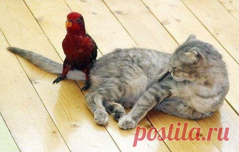 По-моему, еда обнаглела!)))