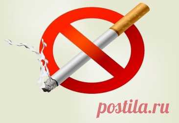 День отказа от курения — шанс сделать жизнь ярче и здоровее. Пусть каждый шаг к свободе от сигарет укрепляет тело, радует душу и вдохновляет на новые победы. Открытки на День отказа от курения.