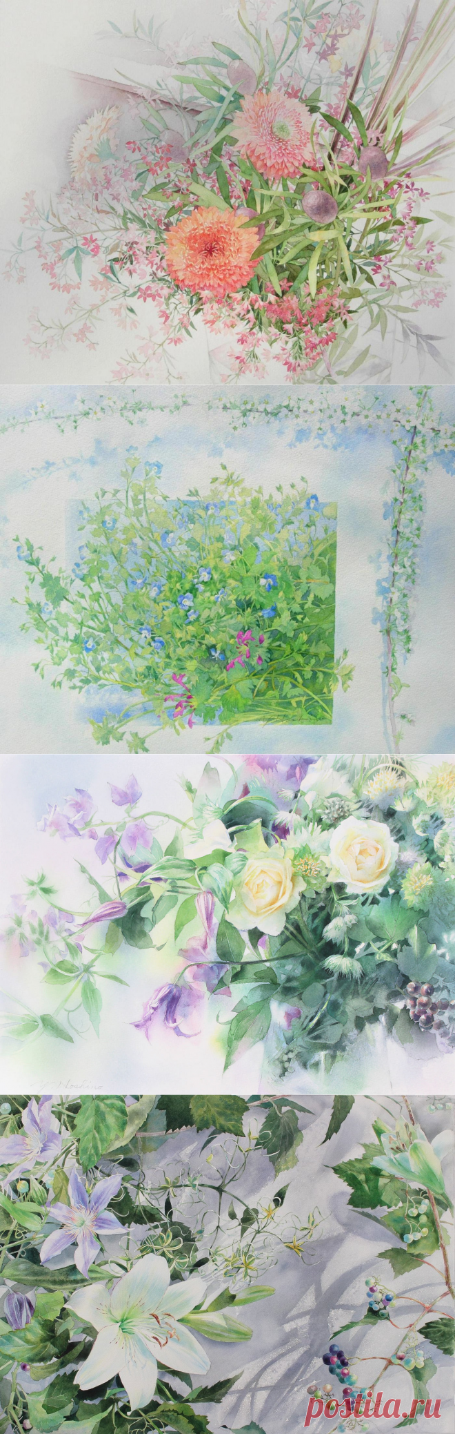 Напоённые солнцем / Yu Hoshino