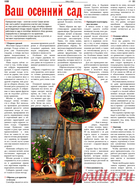 Осенние работы в саду