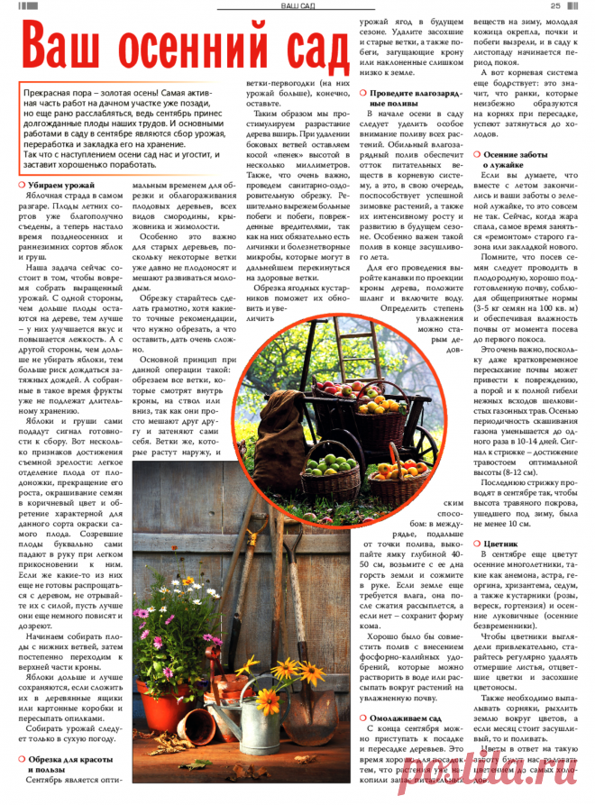 Осенние работы в саду