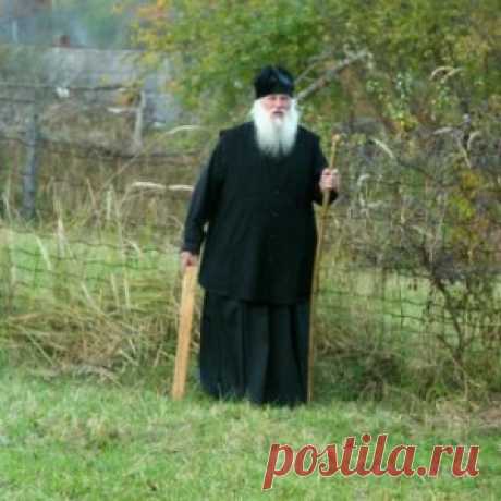 ЖЕСТКАЯ, ОЧЕНЬ ЖЕСТКАЯ СТАТЬЯ ! - МирТесен