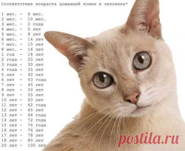 Катя Миннибаева