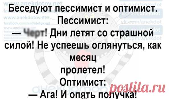 Пикантный диалог - Ok'ейно.top