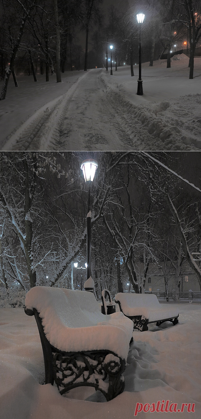 Снегопад в Москве. Фото. Прогулка по парку Москвы в снегопад.