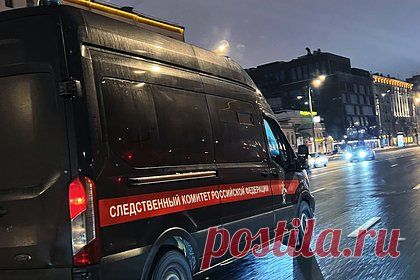 Похитительница девочки в Ярославле объяснила свой поступок