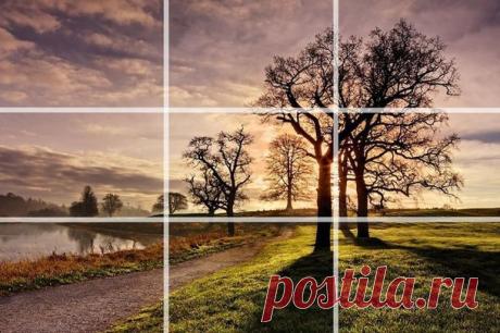 20 приёмов фотографии, изучив которые вы будете фотографировать как профи