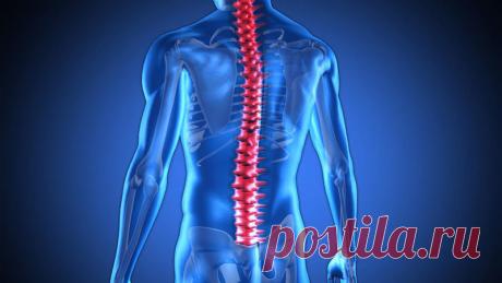 Простая техника для помощи «изношенным» позвонкам