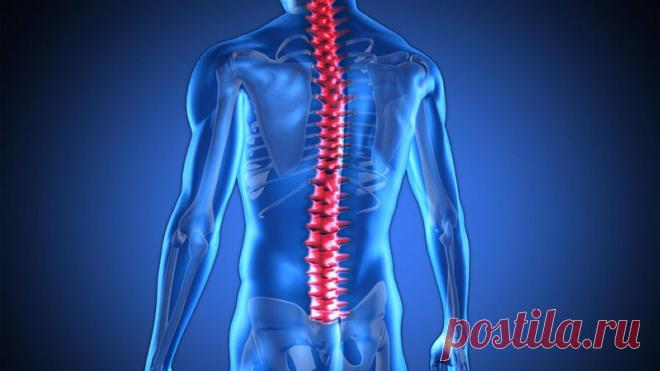 Простая техника для помощи «изношенным» позвонкам