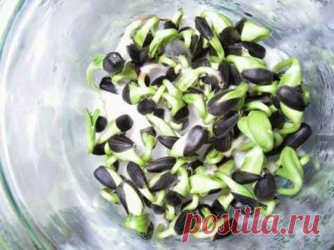 Цветная капуста с чесноком, сыром Пармезан и зеленью в духовке. 100 гр - 86.36 ккал