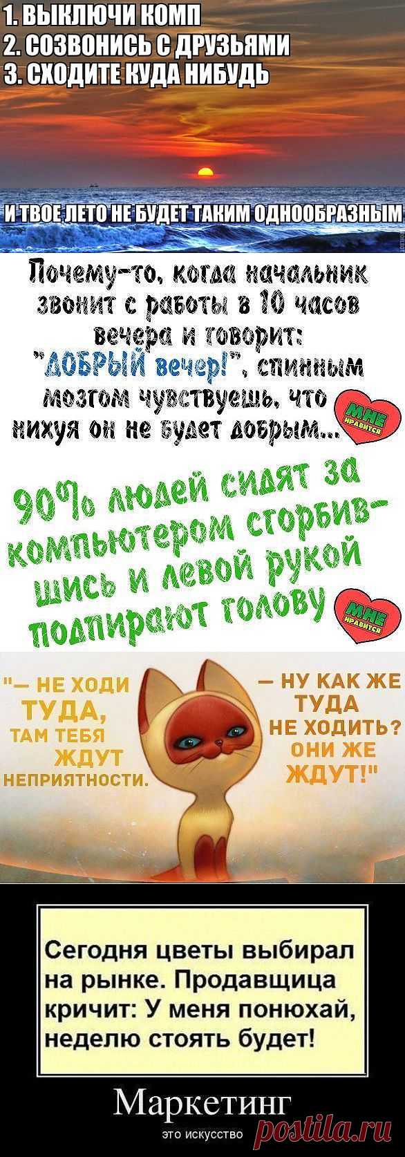 Украинский бизнес цитатник