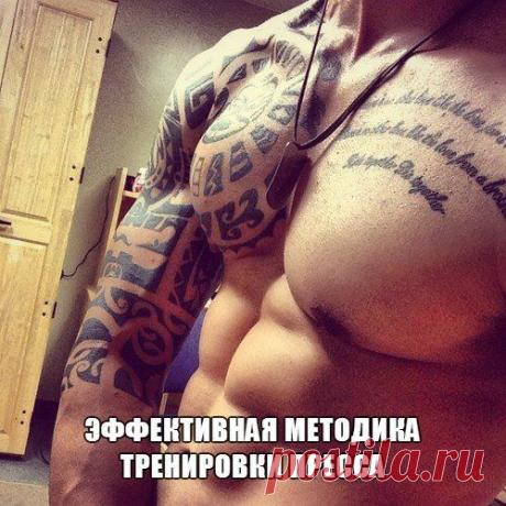 Эффективная методика тренировки пресс / Спорт Сильных!