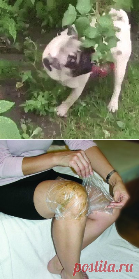 Одноклассники