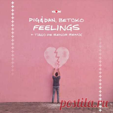 Pig&Dan, Betoko - Feelings free download mp3 music 320kbps