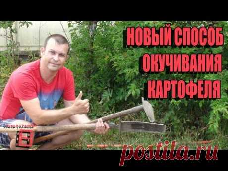 НОВЫЙ СПОСОБ ОКУЧИВАНИЯ КАРТОФЕЛЯ. БОРЕМСЯ С СОРНЯКАМИ. СЕКРЕТЫ ВЫРАЩИВАНИЯ КАРТОФЕЛЯ 2. САД. ОГОРОД