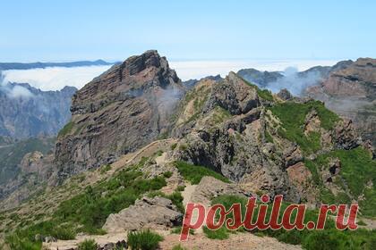 Мистическое исчезновение туриста на популярном курорте обескуражило полицию. Исчезновение туриста на популярном португальском курорте названо загадочным. Отмечается, что третий раз за год иностранный турист пропадает без вести на пешеходной тропе парка Кеймадас на Мадейре. По данным СМИ, очередная «мистическая» пропажа человека случилась через два месяца после последнего инцидента.