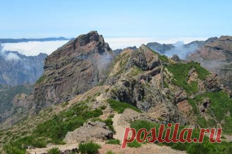 Мистическое исчезновение туриста на популярном курорте обескуражило полицию. Исчезновение туриста на популярном португальском курорте названо загадочным. Отмечается, что третий раз за год иностранный турист пропадает без вести на пешеходной тропе парка Кеймадас на Мадейре. По данным СМИ, очередная «мистическая» пропажа человека случилась через два месяца после последнего инцидента.