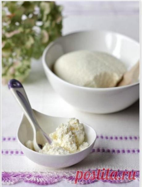Рикотта: рецепт приготовления. Как сделать рикотту в домашних условиях?